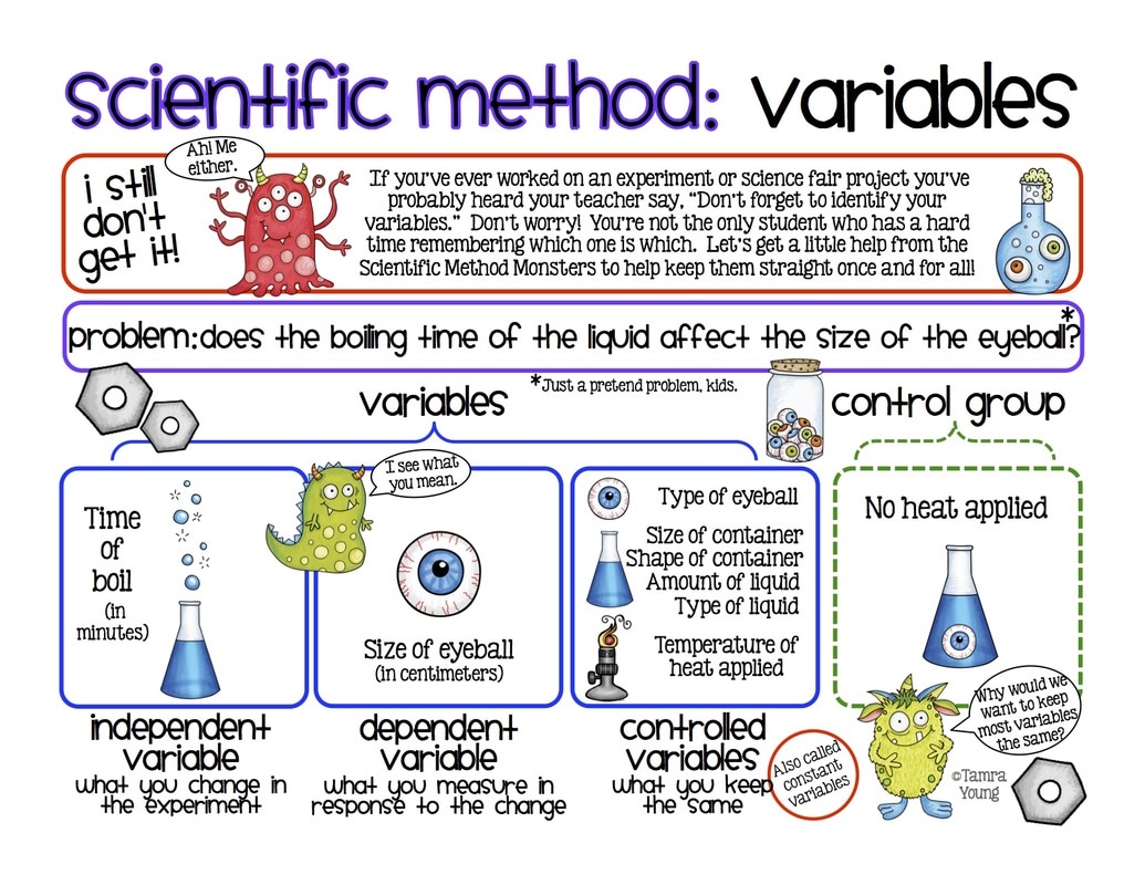 what is a variable in science experiment